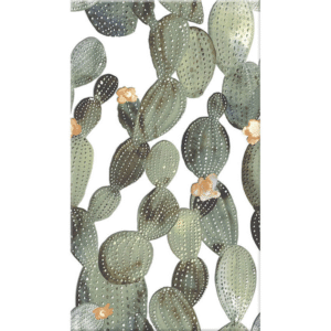 Revestimento Cactos Hd34x60 Formigres